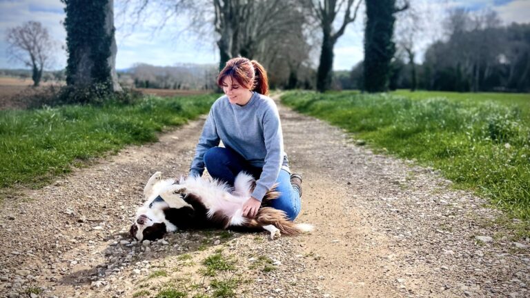 Les erreurs courantes en éducation canine : Ce que vous faites peut-être sans le savoir
